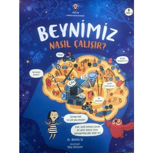 Beynimiz Nasıl Çalışır?