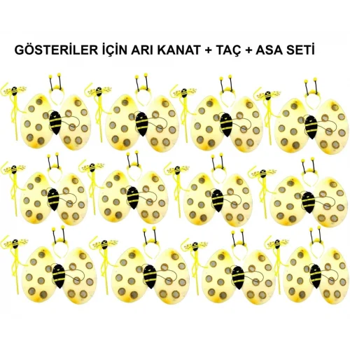 Mey İthalat® Okul Gösterileri için  Arı Kanadı Seti - Etkinlik Kanatları