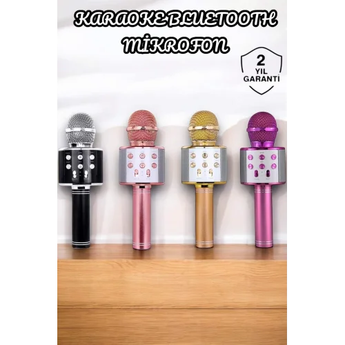 Mey İthalat® Şarjlı ve Uzun Pil Ömürlü Karaoke Mikrofon USB Bellek Destekli, Profesyonel Ses