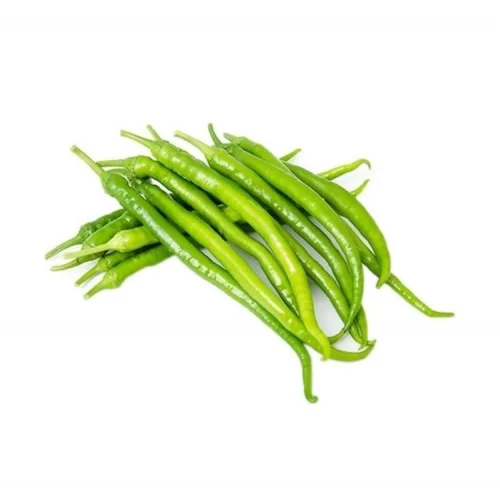 BİBER KIL ACI (ÇOKLU TOHUM) - 5 Gram