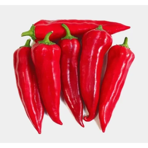 BİBER MARAŞ (ÇOKLU TOHUM) - 5 Gram