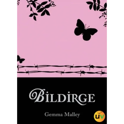 Bildirge