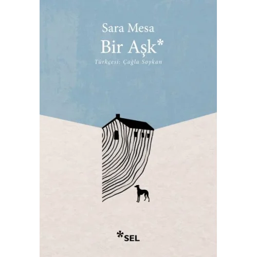 Bir Aşk
