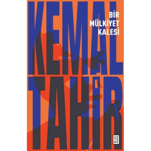 Bir Mülkiyet Kalesi