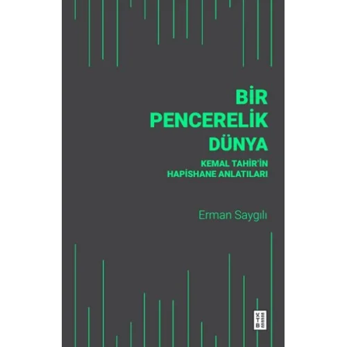 Bir Pencerelik Dünya