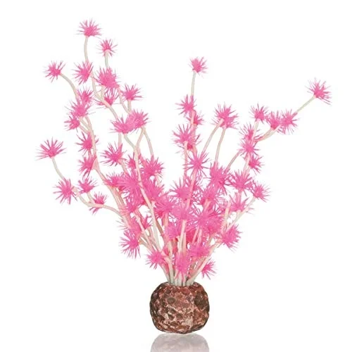 Bonsai Topu Pembe