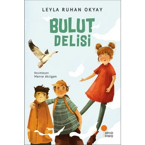Bulut Delisi