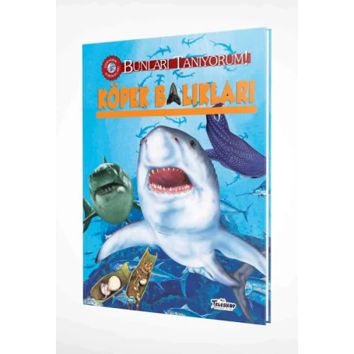 Bunları Tanıyorum! - Köpek Balıkları