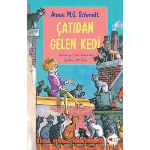 Çatıdan Gelen Kedi