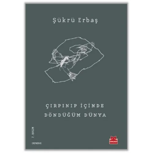 Çırpınıp İçinde Döndüğüm Dünya