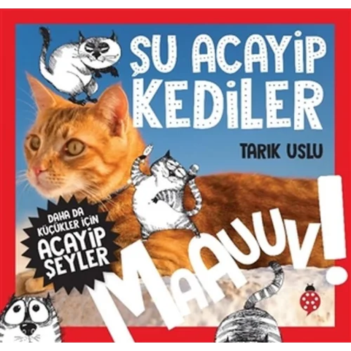 Daha Küçükler İçin Şu Acayip Kediler
