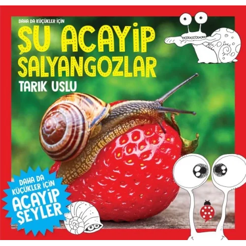 Daha Küçükler İçin Şu Acayip Salyangozlar