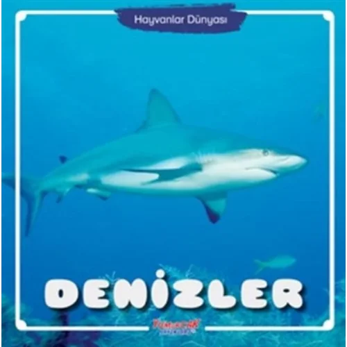 Denizler - Hayvanlar Dünyası