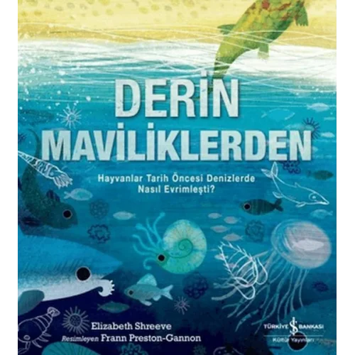 Derin Maviliklerden