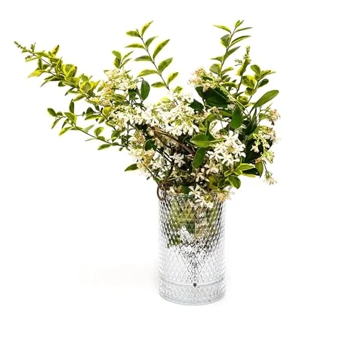 Diamond Cam Vazo/Mumluk (17 cm)