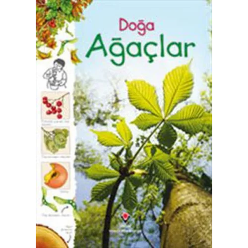 Doğa - Ağaçlar