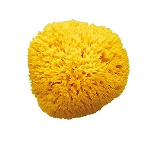 Dogal Banyo Sungeri No.12