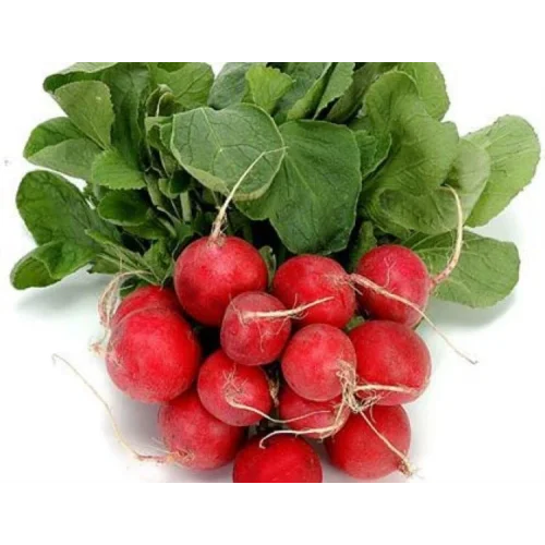 Doğal Cherry Turp Tohumu