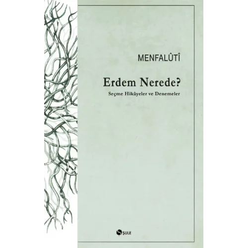 Erdem Nerede? Seçme Hikayeler ve Denemeler