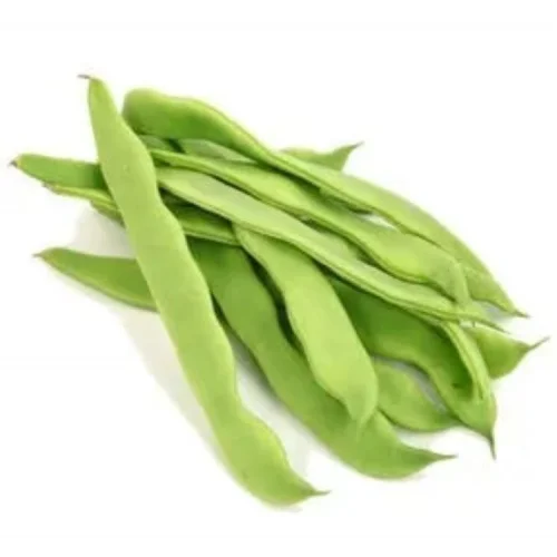 FASULYE ROMANO OTURAK (ÇOKLU TOHUM) - 25 Gram
