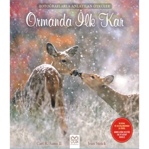 Fotoğraflarla Anlatılan Öyküler - Ormanda İlk Kar