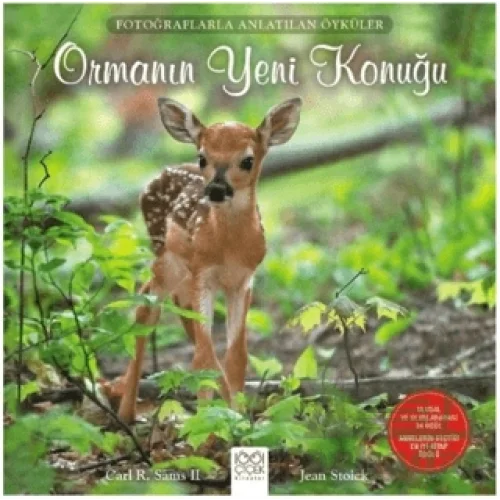 Fotoğraflarla Anlatılan Öyküler - Ormanın Yeni Konuğu