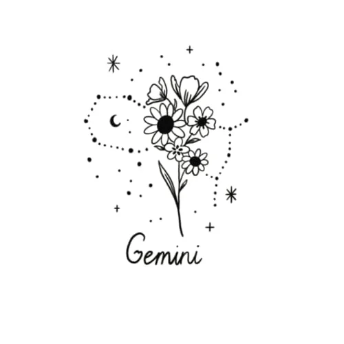 Gemini Star Sign Journal