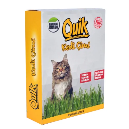 Gerçek Topraklı Kedi Çimi