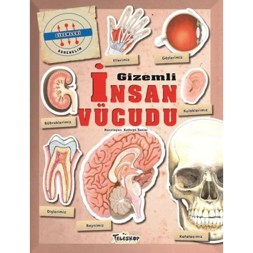 Gizemleri Öğrenelim - Gizemli İnsan Vücudu