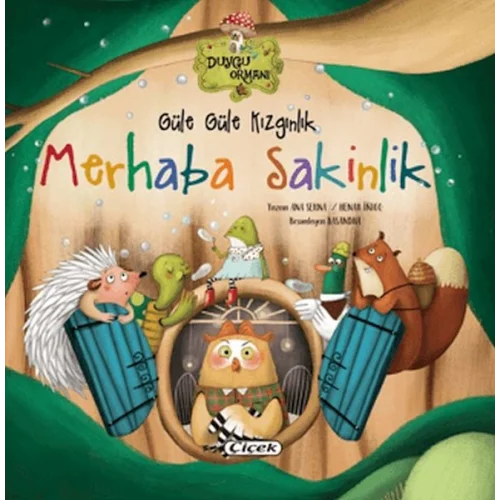 Güle Güle Kızgınlık Merhaba Sakinlik