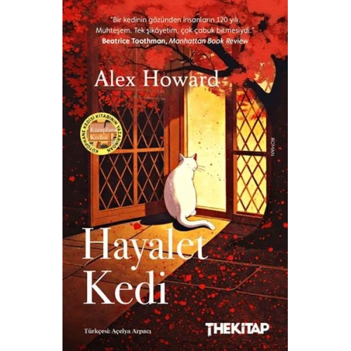 Hayalet Kedi