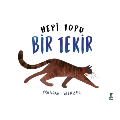 Hepi Topu Bir Tekir