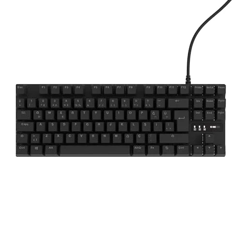 HK410 Mekanik Switch 19 Mod RGB Kablolu Siyah TKL Türkçe Gaming Klavye (Mavi Switch)