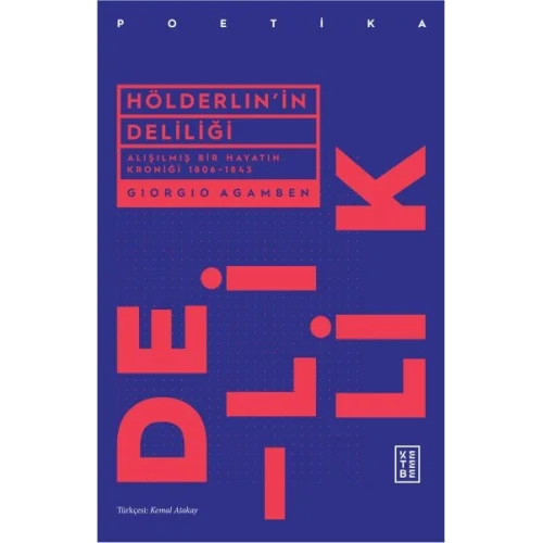 Hölderlinin Deliliği