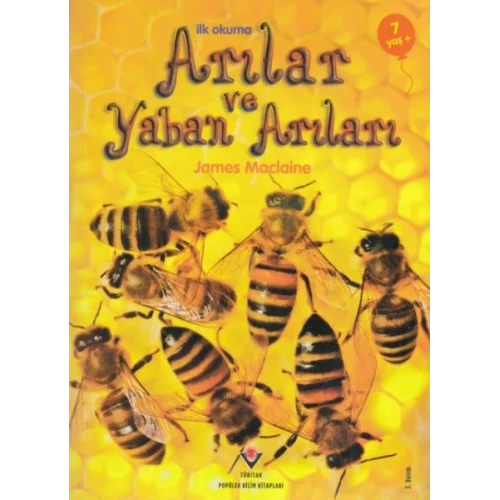 İlk Okuma - Arılar ve Yaban Arıları