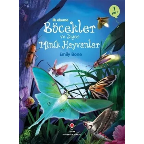 İlk Okuma - Böcekler ve Diğer Minik Hayvanlar