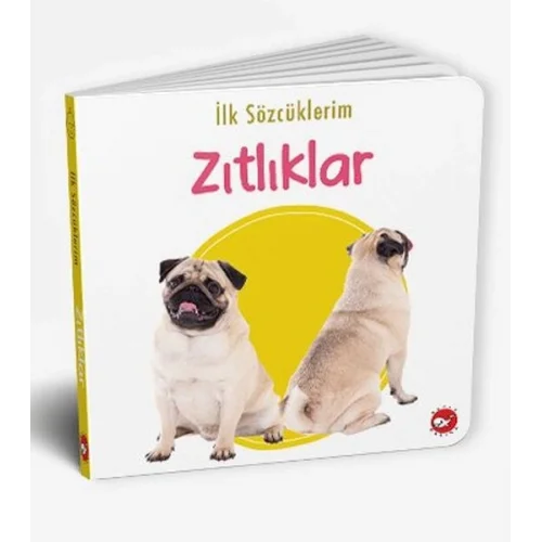İlk Sözcüklerim - Zıtlıklar