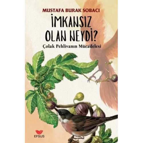 İmkansız Olan Neydi