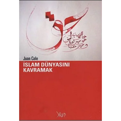 İslam Dünyasını Kavramak