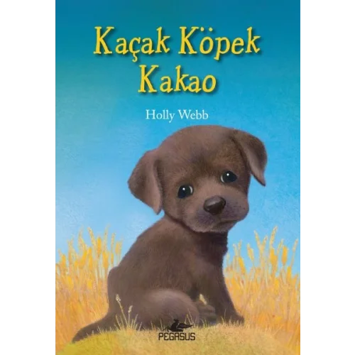 Kaçak Köpek Kakao