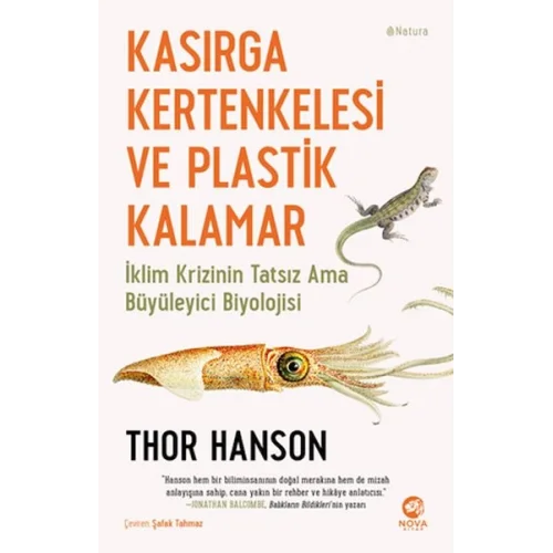 Kasırga Kertenkelesi ve Plastik Kalamar