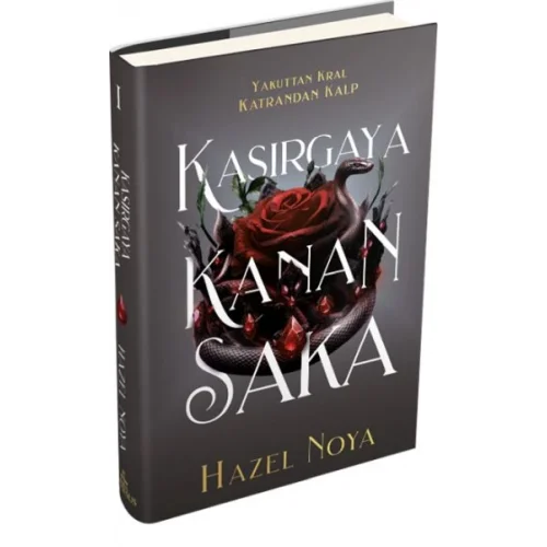 Kasırgaya Kanan Saka 1 (Ciltli)