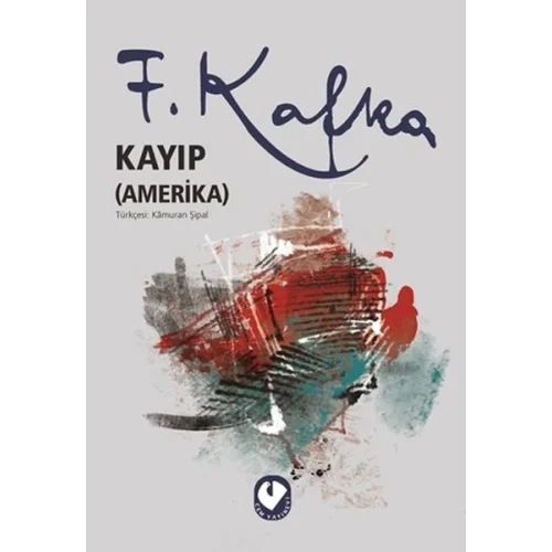 Kayıp (Amerika)