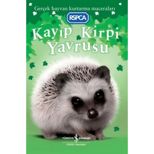 Kayıp Kirpi Yavrusu
