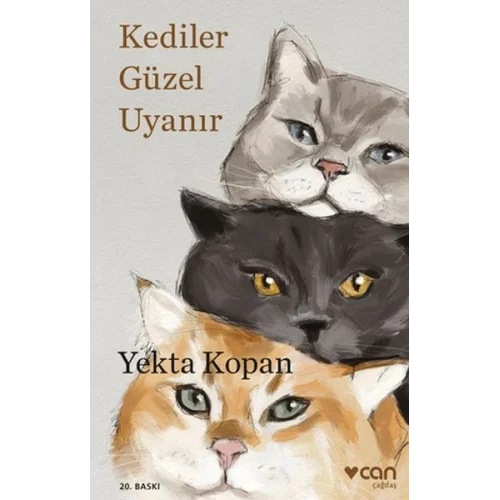 Kediler Güzel Uyanır