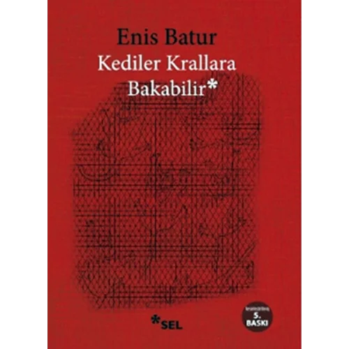 Kediler Krallara Bakabilir