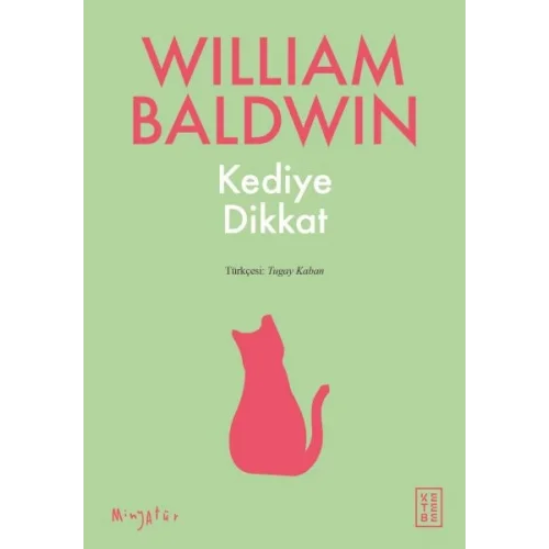 Kediye Dikkat