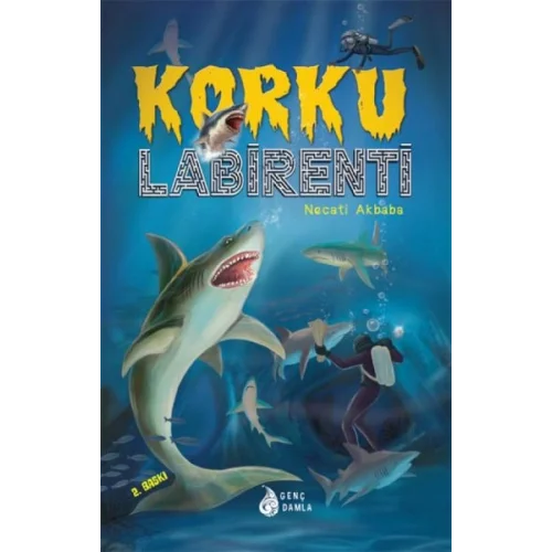 Korku Labirenti