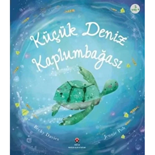 Küçük Deniz Kaplumbağası