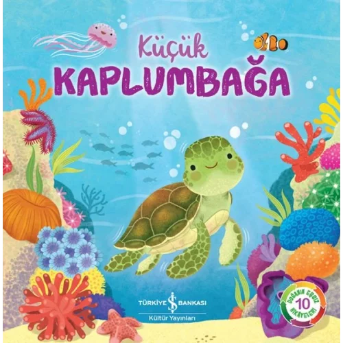 Küçük Kaplumbağa